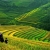 SAPA EASY TREK 2D/3N (TRAIN - HOMESTAY)