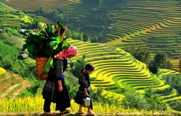 SAPA EASY TREK 2D/3N (TRAIN - HOMESTAY)