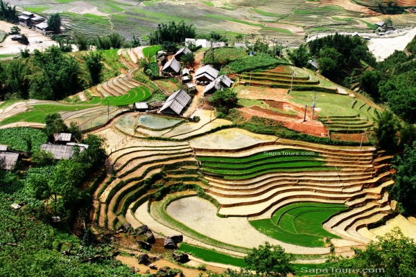 SAPA TREK 3D/4N (TRAIN - HOTEL - HOMESTAY)