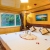 AZELA HALONG- LAN HA- CAT BA CRUISE