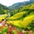 Northern Vietnam ( Hanoi - Tam Coc - Halong - Sapa) 8days 7 nights